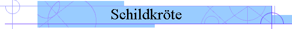 Schildkr�te